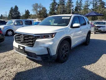 2025 Honda Pilot 5FNYG1H74SB136805 Lot 48313596