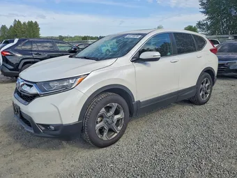 2019 Honda CR-V 5J6RW2H8XKA009971 Lot 53374976