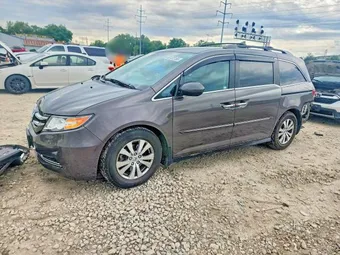 2015 Honda Odyssey 5FNRL5H48FB036368 Lot 53122156