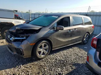 2020 Honda Odyssey 5FNRL6H79LB051974 Lot 50394496