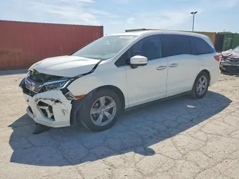 2019 Honda Odyssey 5FNRL6H77KB048022 Lot 50584506