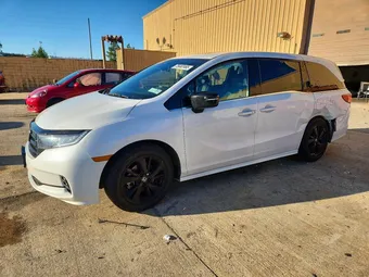 2023 Honda Odyssey 5FNRL6H78PB013657 Lot 78482465