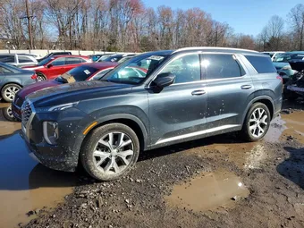 2020 Hyundai Palisade KM8R4DHEXLU059892