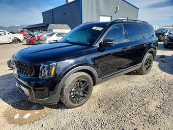 2025 Kia Telluride 5XYP3DGCXSG669239