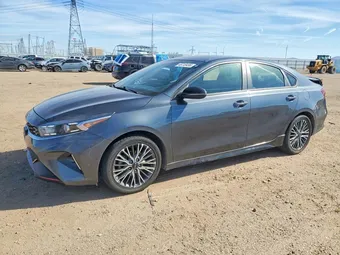 2023 Kia Forte 3KPF54AD6PE560238 Lot 48718456