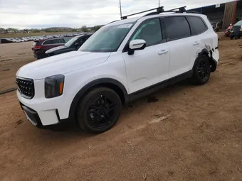 2025 Kia Telluride 5XYP3DGC7SG640877