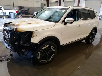 2024 Kia Telluride 5XYP6DGC4RG483438
