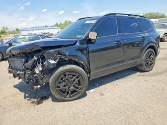 2025 Kia Telluride 5XYP5DGC8SG607218