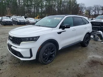 2022 Kia Sorento 5XYRKDLF5NG103635 Lot 48001256
