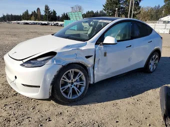 2021 Tesla Model Y 5YJYGDEE1MF242829 Lot 48691456