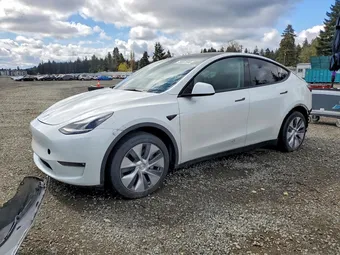 2024 Tesla Model Y 7SAYGAEE1RF988979 Lot 49667596