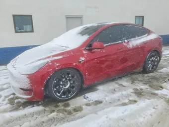 2025 Tesla Model Y 7SAYGAEE0SF304221 Lot 77527095