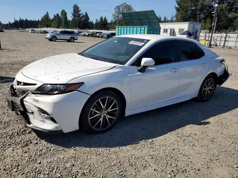 2024 Toyota Camry 4T1G31AK0RU066058 Lot 52091826