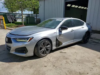 2021 Acura TLX 19UUB5F50MA004840