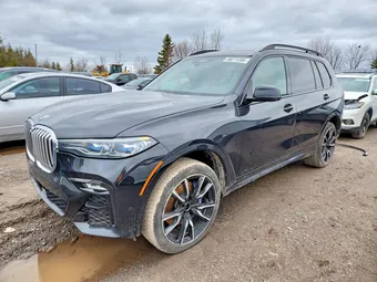 2019 BMW X7 5UXCW2C53K0E74124