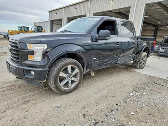 2016 Ford F-150 1FTEW1EP9GFC08420 Lot 49069676