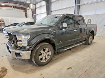 2015 Ford F-150 1FTEW1EP7FKD28075 Lot 50181906