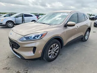 2020 Ford Escape 1FMCU0G68LUC52387 Lot 49038276
