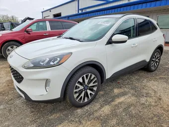 2020 Ford Escape 1FMCU9H96LUA08704 Lot 50904346