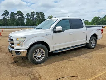2015 Ford F-150 1FTEW1EG9FKD96233 Lot 53180936