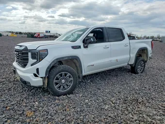 2025 GMC Sierra 1500 3GTUUEEL1SG355781 Lot 49750516