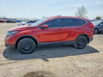 2019 Honda CR-V 2HKRW2H81KH136171 Lot 49894746