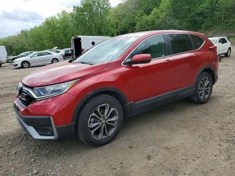 2021 Honda CR-V 7FARW2H88ME004174 Lot 49595476