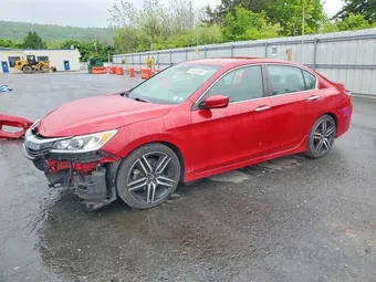 2017 Honda Accord 1HGCR2F19HA073213 Lot 53481826