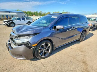2024 Honda Odyssey 5FNRL6H99RB031458 Lot 50253526