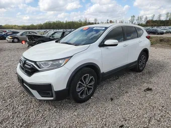 2020 Honda CR-V 2HKRW1H59LH426854 Lot 46453056