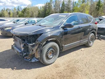 2020 Honda CR-V 2HKRW2H4XLH222870 Lot 52843556
