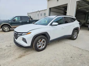 2024 Hyundai Tucson 5NMJBCDE3RH308623 Lot 48923626