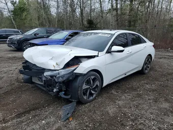 2023 Hyundai Elantra KMHLN4AG8PU540129 Lot 49598726
