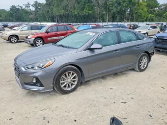 2019 Hyundai Sonata 5NPE24AF3KH797361 Lot 52511346