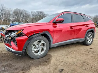 2023 Hyundai Tucson 5NMJB3AEXPH185579 Lot 76966385