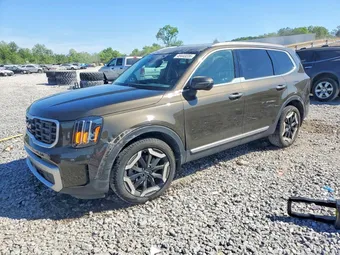 2024 Kia Telluride 5XYP6DGC0RG506584