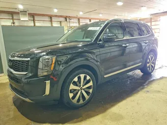 2022 Kia Telluride 5XYP6DHC7NG240599