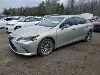 2019 Lexus ES JTHB21B11K2012033