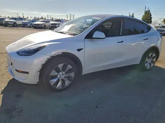 2023 Tesla Model Y 7SAYGDED4PF965329 Lot 97020185