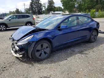 2021 Tesla Model 3 5YJ3E1EA2MF921505 Lot 53116026