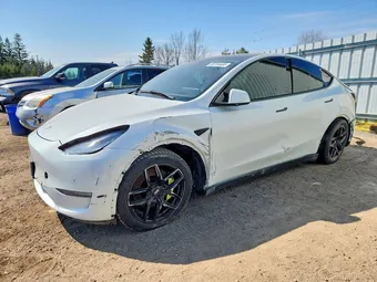 2023 Tesla Model Y 7SAYGDEE5PF584694 Lot 50754486