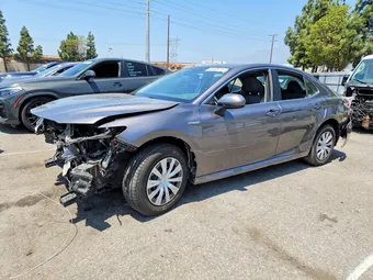 2019 Toyota Camry 4T1B31HK9KU512391 Lot 52438716