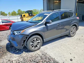 2017 Toyota RAV4 JTMRJREV7HD062934 Lot 50155056