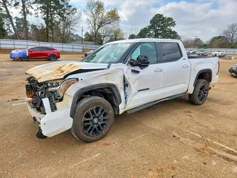 2025 Toyota Tundra 5TFWA5DB8SX289851 Lot 79055785