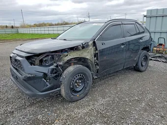 2019 Toyota RAV4 2T3BWRFV3KW006937 Lot 77743255