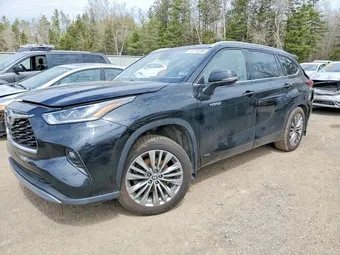 2020 Toyota Highlander 5TDEBRCH3LS002087 Lot 49775296