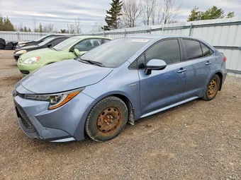 2020 Toyota Corolla JTDBBRBEXLJ005432 Lot 50304286