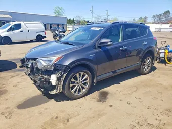 2016 Toyota RAV4 JTMDJREV9GD021424 Lot 51104756