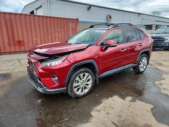 2019 Toyota RAV4 JTMN1RFV0KD506627 Lot 49922076