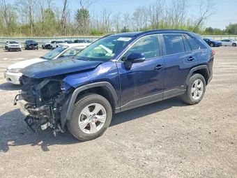 2019 Toyota RAV4 JTMRWRFV6KD023436 Lot 53729986
